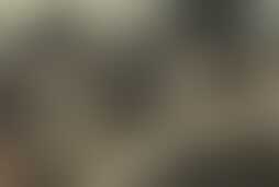 Фотография ролевого квеста Зомби-апокалипсис от компании Краерим (Фото 1)