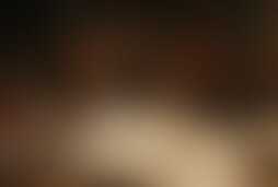 Фотография городского квеста По следам героев романа "Преступление и наказание" от компании Surprise Me (Фото 1)