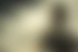 Фотография ролевого квеста Выжившие от компании ZdesIgra (Фото 1)