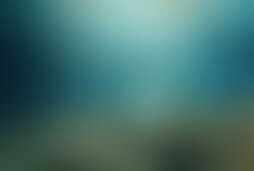 Фотография квеста Вокруг света за 60 минут от компании Кидрум (Фото 1)