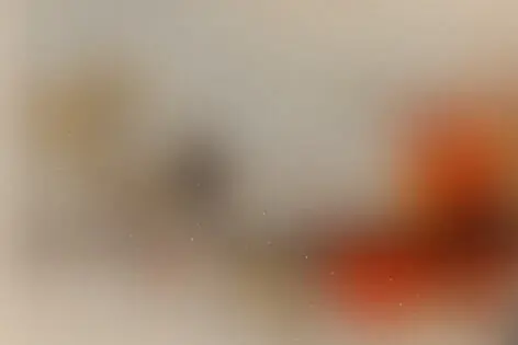 Городской квест «Хранители Петербурга» от Surprise Me