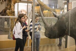 Фотография городского квеста "Ледниковый период" в Зоологическом музее от компании Fresh Quest (Фото 1)