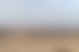Фотография квиза Геобитва от компании Геобитва (Фото 1)