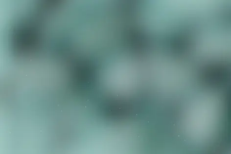 Квиз «Requizit» от Requizit