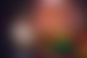 Фотография квеста Приключение эльфа Дони от компании Quest Guru (Фото 2)