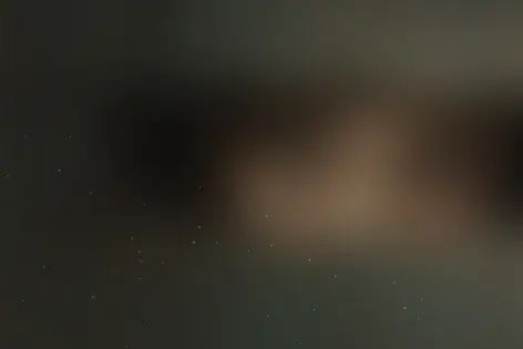 Городской квест «Ограбление» от Piter Quest