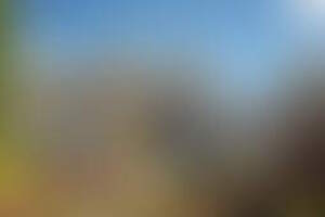 Фотография городского квеста Квест по Петергофу от компании Fresh Quest (Фото 1)