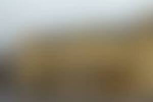 Фотография городского квеста Полководцы на страже от компании Ubego (Фото 3)