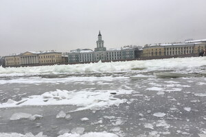 Фотография городского квеста Кошачий Петербург, или Приключения кота Тимофея от компании Ubego (Фото 1)