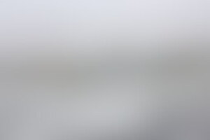 Фотография городского квеста Кошачий Петербург, или Приключения кота Тимофея от компании Ubego (Фото 1)