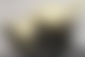 Фотография городского квеста Кошачий Петербург, или Приключения кота Тимофея от компании Ubego (Фото 2)