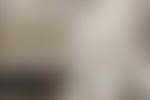 Фотография городского квеста Кошачий Петербург, или Приключения кота Тимофея от компании Ubego (Фото 3)