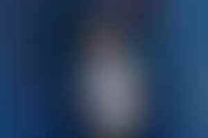 Фотография квеста-анимации Спецназ от компании Потешки (Фото 1)