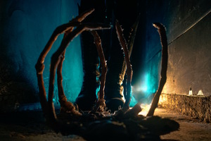 Фотография перформанса Чужой: пробуждение от компании Quest Stars (Фото 3)