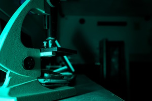 Фотография перформанса Чужой: пробуждение от компании Quest Stars (Фото 4)