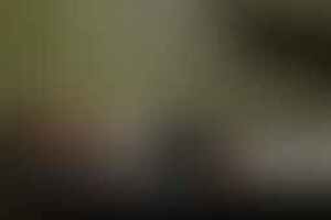 Фотография перформанса Фредди Крюгер от компании Взаперти (Фото 1)