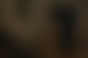 Фотография квеста-анимации Варяги против викингов от компании Razoomgames (Фото 1)