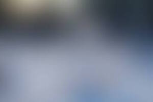 Фотография городского квеста Холодное сердце: романтическая миссия Олафа от компании Ubego (Фото 1)