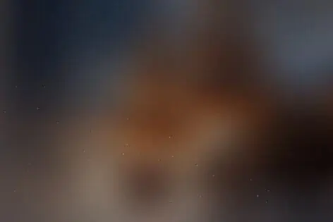 Ролевой квест «Побег через Атлантику» от Kvest Story