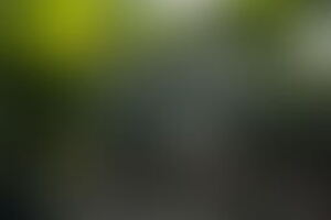 Фотография квеста-анимации Супергерой от компании Потешки (Фото 1)