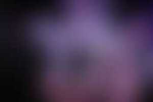 Фотография перформанса Five Nights at Freddy's от компании Quest Stars (Фото 2)