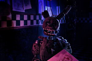 Фотография перформанса Five Nights at Freddy's от компании Quest Stars (Фото 4)