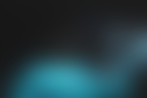 Фотография перформанса Черное крыло от компании Quest Stars (Фото 4)