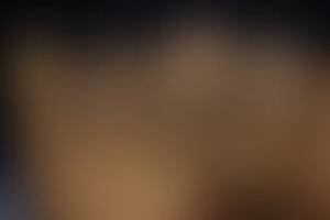 Фотография квеста Иван Васильевич меняет профессию от компании BrainRooms (Фото 1)