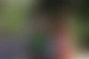 Фотография квеста-анимации Остров от компании Потешки (Фото 1)