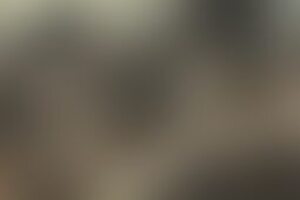 Фотография квеста-анимации Постапокалипсис от компании Affect (Фото 1)