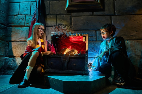 Гарри: похищение кубка