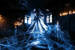 Фотография перформанса Пиковая дама от компании Quest Stars (Фото 1)