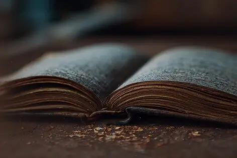 Городской квест «Мультивселенная Петербурга: схождение книжных миров» от Ubego