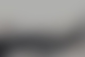 Фотография городского квеста Проклятие Елагина острова от компании Ubego (Фото 1)