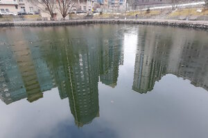 Фотография городского квеста В поисках слона, или Как мужик за водой ходил от компании Ubego (Фото 1)