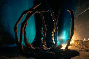 Фотография экшн-игры Чужой: изоляция от компании Quest Stars (Фото 2)