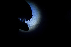 Фотография экшн-игры Чужой: изоляция от компании Quest Stars (Фото 3)