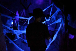 Фотография экшн-игры Заколдованная лавка: спасение от монстров от компании Шервуд (Фото 1)