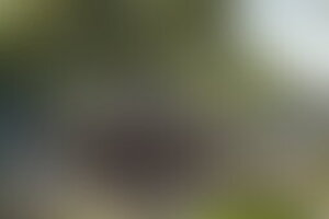 Фотография квеста Тайны Востока от компании Небывальщина (Фото 1)