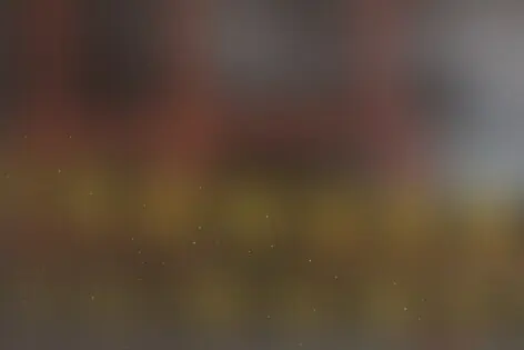 Квест «Бункер» от Rabbit Hole