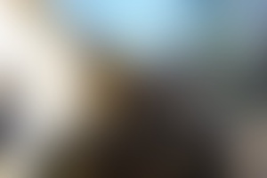 Фотография квеста-анимации Побег от компании Северо-Запад (Фото 1)
