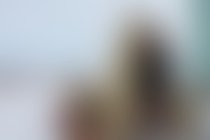 Фотография квеста-анимации Полярная экспедиция от компании Северо-Запад (Фото 1)