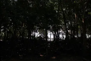 Во тьме