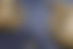 Фотография городского квеста Золотой компас: кто мой деймон от компании Петров Квест (Фото 1)