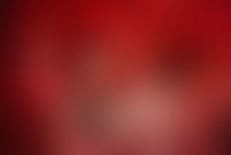 Фотография ролевого квеста Тень от компании Razoomgames (Фото 5)