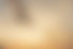 Фотография квеста Тайна золотой совы от компании Zasov (Фото 1)