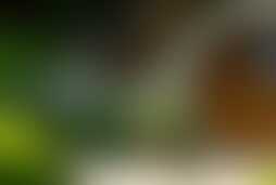 Фотография квеста Хоббичья нора от компании квест-спб (Фото 1)