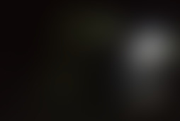 Фотография квеста Луч света от компании Zнаки (Фото 2)