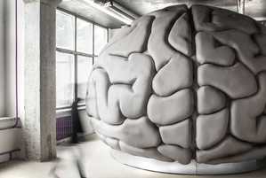Фотография квеста Мозг от компании 4 мозга (Фото 1)