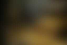 Фотография квеста Лувр: Тайна Короля от компании Игрантия (Фото 1)